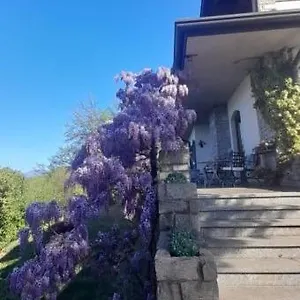  Bed & Breakfast Al Picchio A.p.s.
