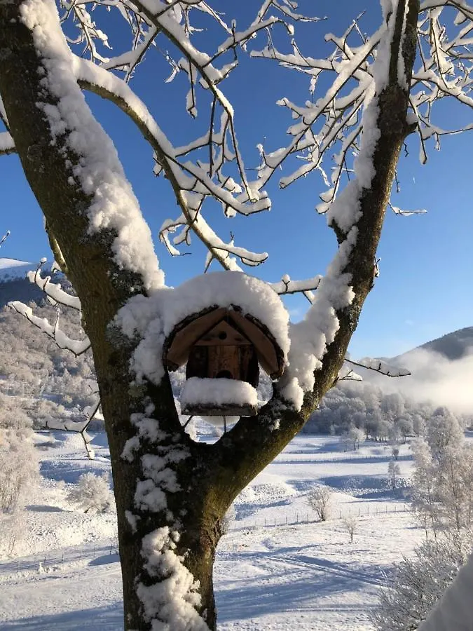 B&B Le Petit Vent Sormano Bed & Breakfast