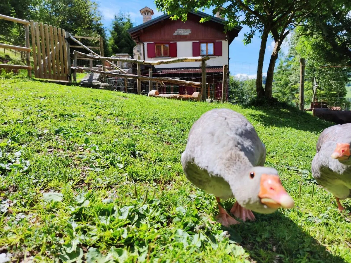 Bed & Breakfast B&B Le Petit Vent Sormano Italy