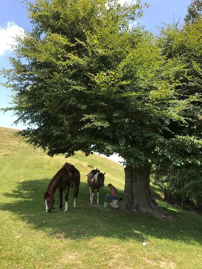 B&B Le Petit Vent Sormano Bed & Breakfast